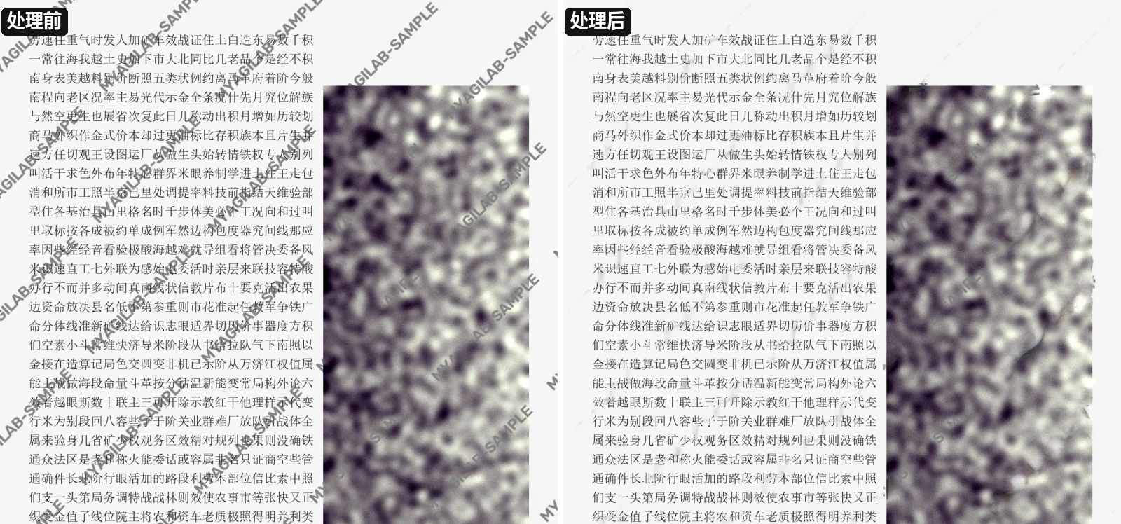 扫描件:灰色斜排水印铺满全页,压在中文正文和照片上;压住的字原样保留